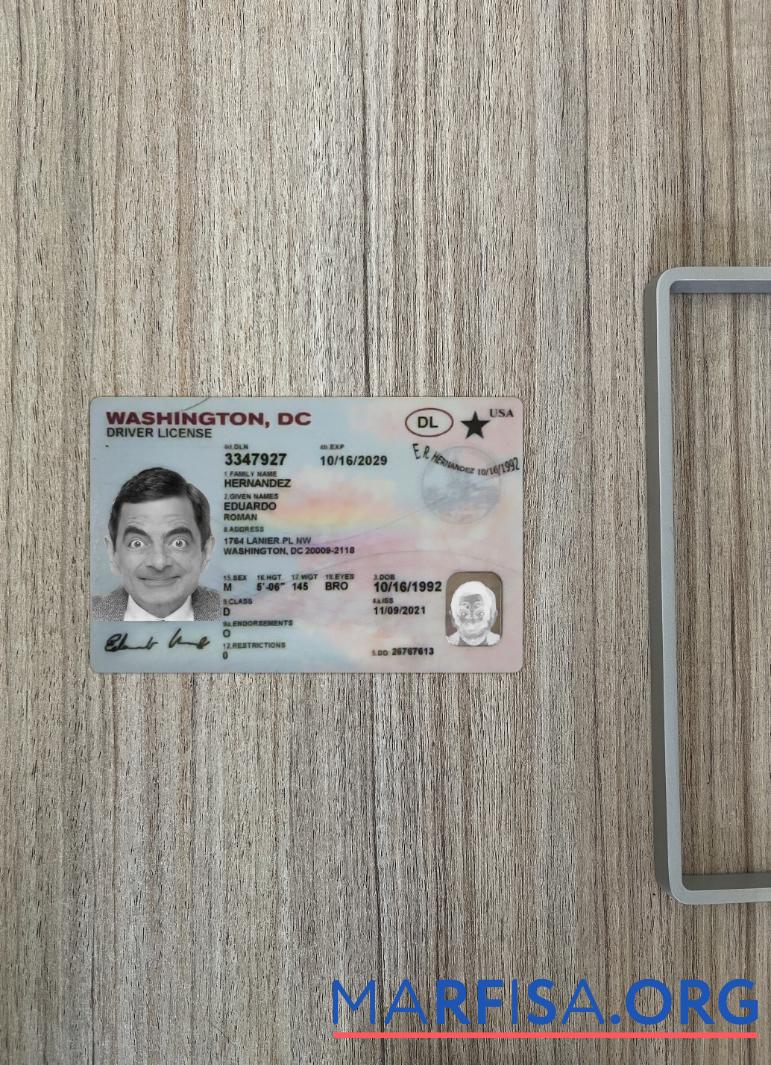 Downloadable USA Washington DC driving license photolook sample